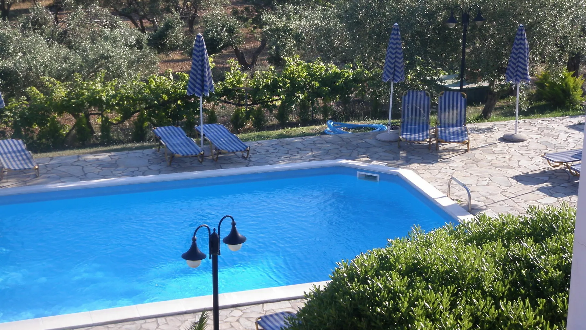 Manolia Studios Trapezaki  Trapezaki (Kefalonia)
